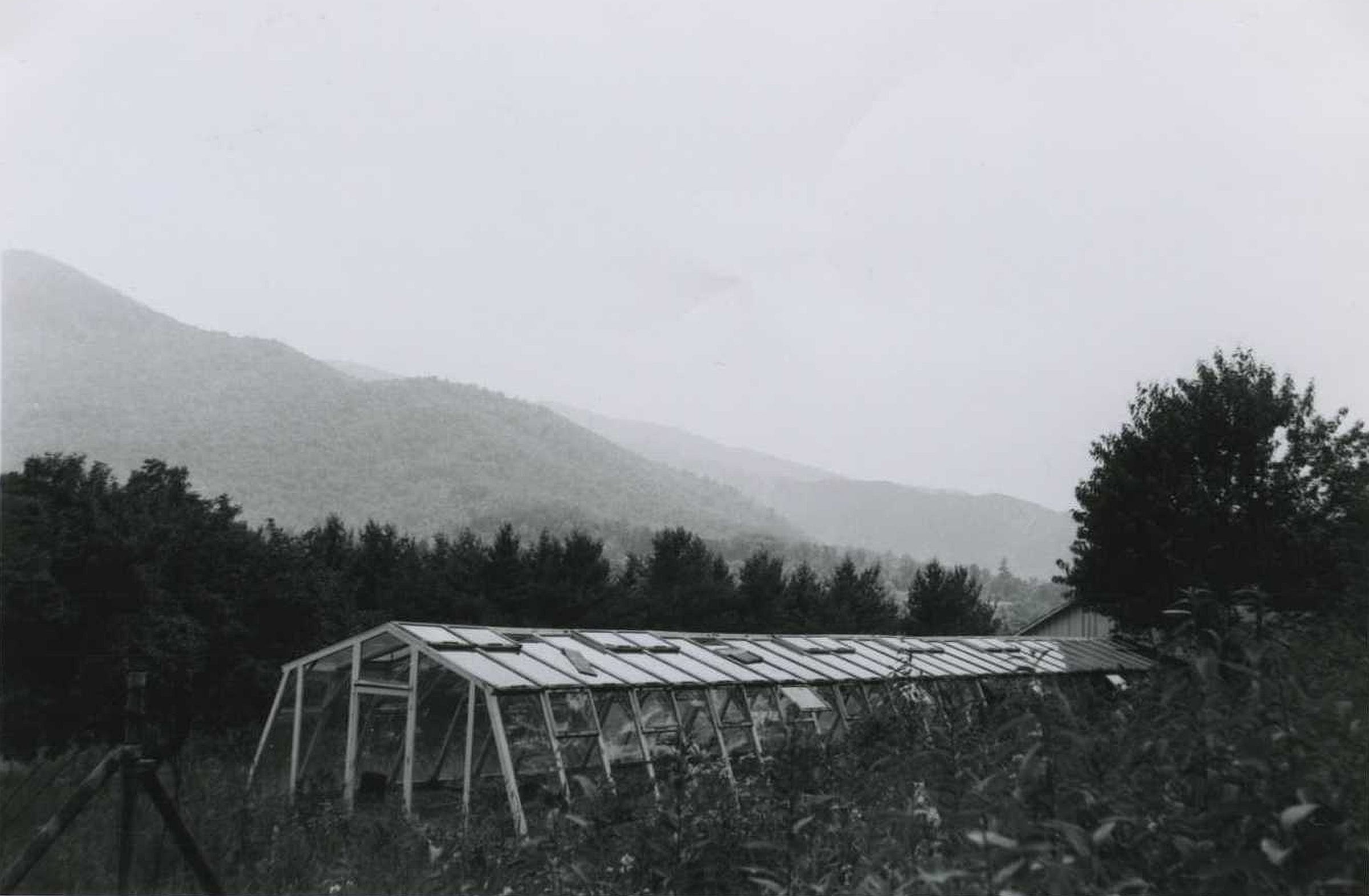 A greenhouse located on Terry Estate, also known as InTheOaks, delayed the sale of the property in 1959. Staff at the Swannanoa Valley Museum & History Center uncovered correspondence between the attorneys tasked with sorting out the matter.